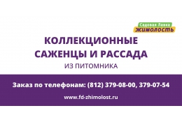 Селекционные саженцы и рассада из питомника Ленинградской области