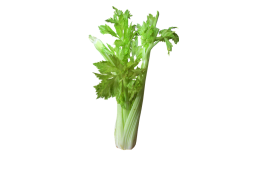 Сельдерей лист